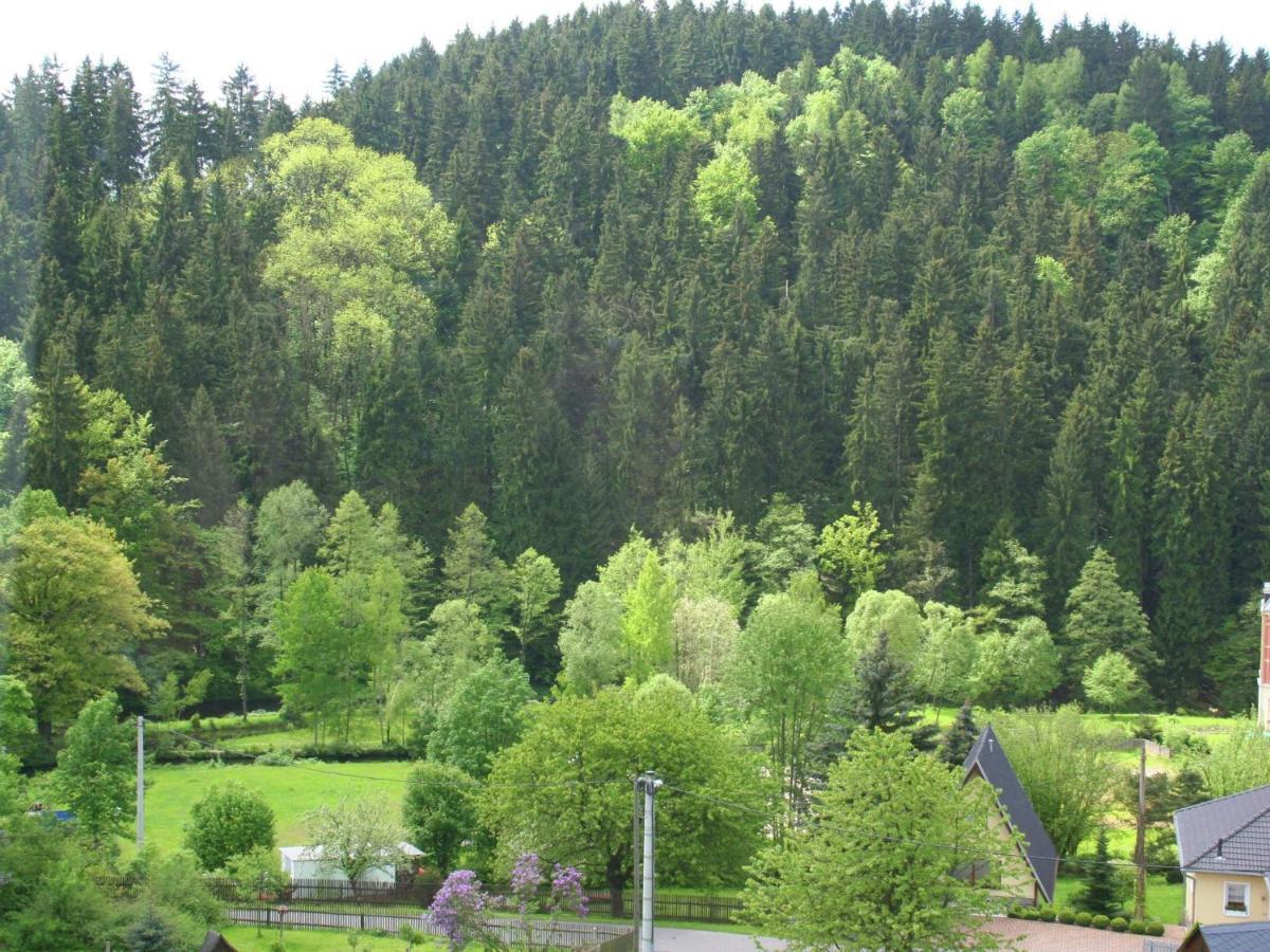 Exclusive Apartment In The Beautiful Ore Mountains Leubsdorf Exterior foto